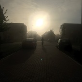 User avatar for Thomas Taylor