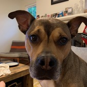 User avatar for Chris Moultrie