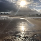 User avatar for Mike Strugnell