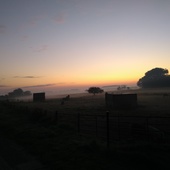 User avatar for Dennis Mastenbroek