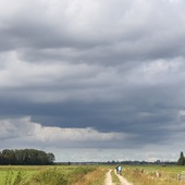 User avatar for Wim Riesebos