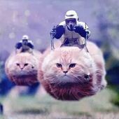 User avatar for Shaleah Grice