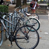 User avatar for Rachel Kaminski