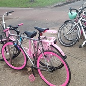 User avatar for Cyril Bur