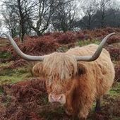 User avatar for Aurélie Manin