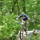 User avatar for Kit Plummer