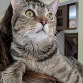 User avatar for Julie Bruening