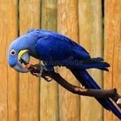 User avatar for Roberta Alberici