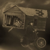 User avatar for Peter Curtis