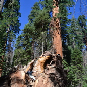 User avatar for Dylan Hightower