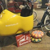 User avatar for Niall Hynes