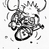 User avatar for Andrew Nelson