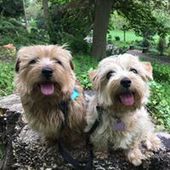 User avatar for Andrea Whitehouse