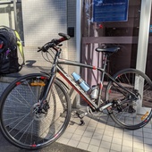 User avatar for Julie Williams