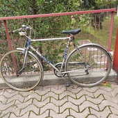 User avatar for Walter Fabris