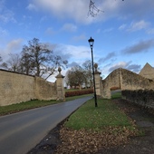 User avatar for Victoria Jersova