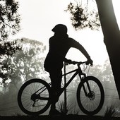 User avatar for Tyler Crosbie