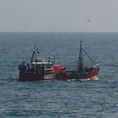 User avatar for Hugh Schoenemann