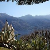 User avatar for Laura Grassi