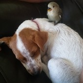 User avatar for Heather Lanesbury