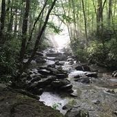 User avatar for Kim Wilson