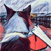 User avatar for Bejan Saeedi