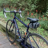 User avatar for Jill Spisak