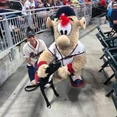 User avatar for Jen Pahl