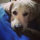 User avatar for Alfie Fredman