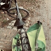 User avatar for Angelo Rossi