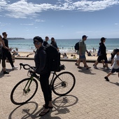 User avatar for Tamara Lynn Manfredi