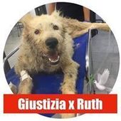 User avatar for Carmine Di Nicuolo