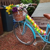 User avatar for Fiona Grant