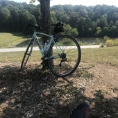 User avatar for Amber Couse