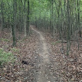 User avatar for Kathleen Howard