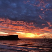 User avatar for David Heap