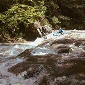 User avatar for Erika Colaiacomo