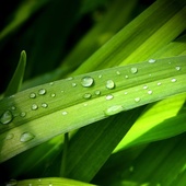 User avatar for Stefano Erba