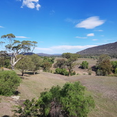 User avatar for Monica Brown