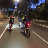 User avatar for Jin Won Choi