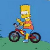 User avatar for Matt Stanford