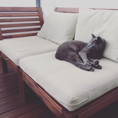 User avatar for Sam Sidrak