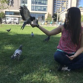 User avatar for Melissa Yang