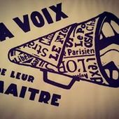 User avatar for Diana Santini