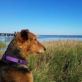 User avatar for Mike Garbett