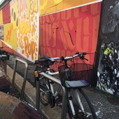 User avatar for Beatrice Berardi