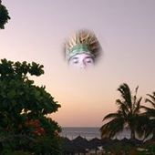 User avatar for Marco Molè