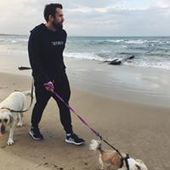 User avatar for Patrick Watts