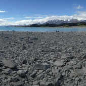 User avatar for Tess Herber