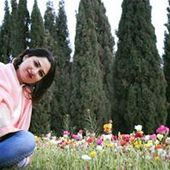 User avatar for Niuosha Shoshtari